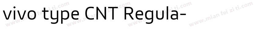 vivo type CNT Regula字体转换